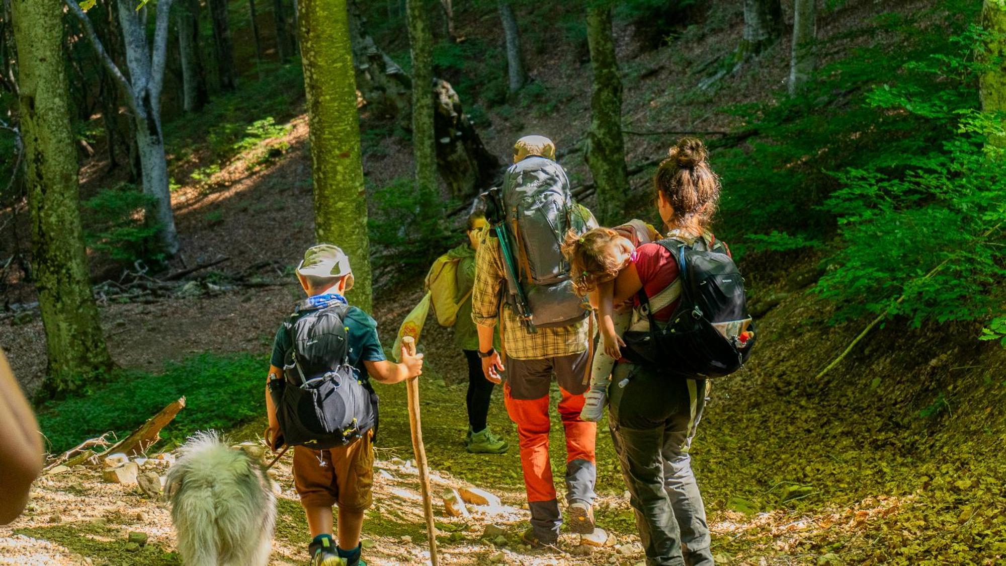 Agriturismo Le Ceregne Bio Pieve Santo Stefano Eksteriør bilde